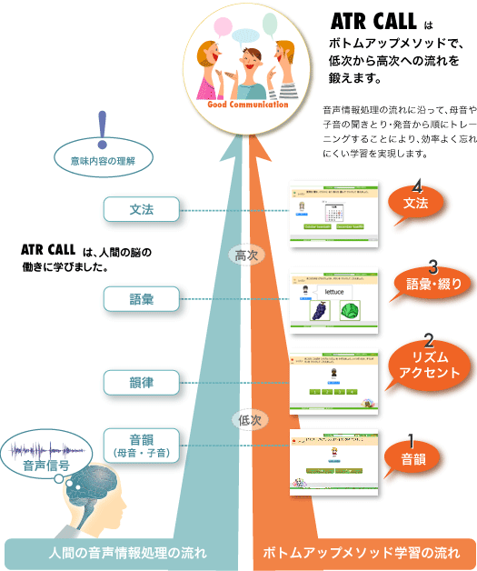 音声情報処理の流れに沿って、母音や子音の聞きとり・発音から順にトレーニングすることにより、効率よく忘れにくい学習を実現します。