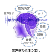 聞き取りグラフ