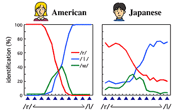 聞き取りグラフ