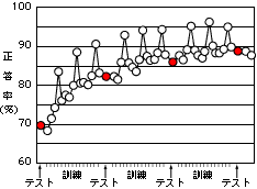 訓練結果グラフ